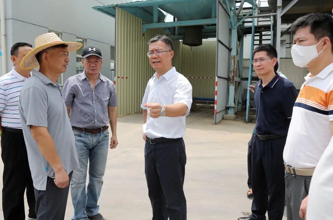 綠潤(rùn)新聞 | 金灣區(qū)委書記帶隊(duì)考察，三灶項(xiàng)目再獲認(rèn)可